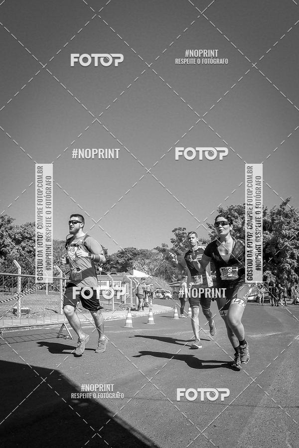 Buy your photos of the eventWolf Series - Botucatu on Fotop