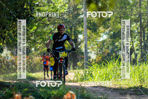 Buy your photos of the eventWolf Series - Botucatu on Fotop
