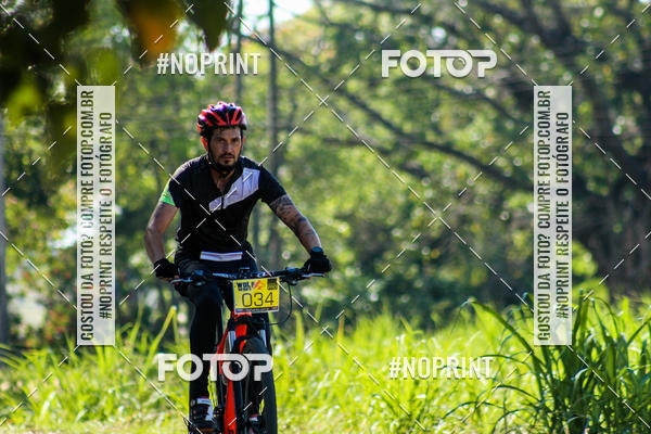 Buy your photos of the eventWolf Series - Botucatu on Fotop