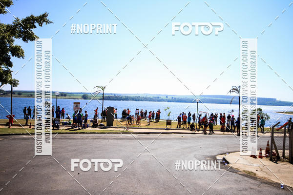 Buy your photos of the eventWolf Series - Botucatu on Fotop