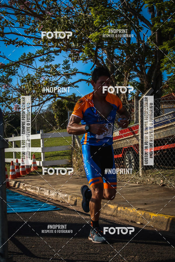 Buy your photos of the eventWolf Series - Botucatu on Fotop