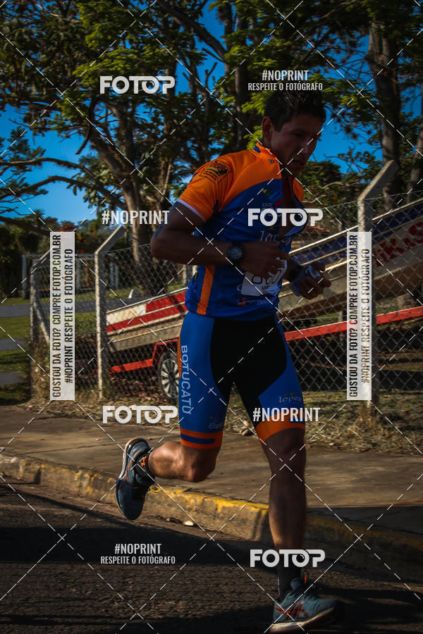 Buy your photos of the eventWolf Series - Botucatu on Fotop