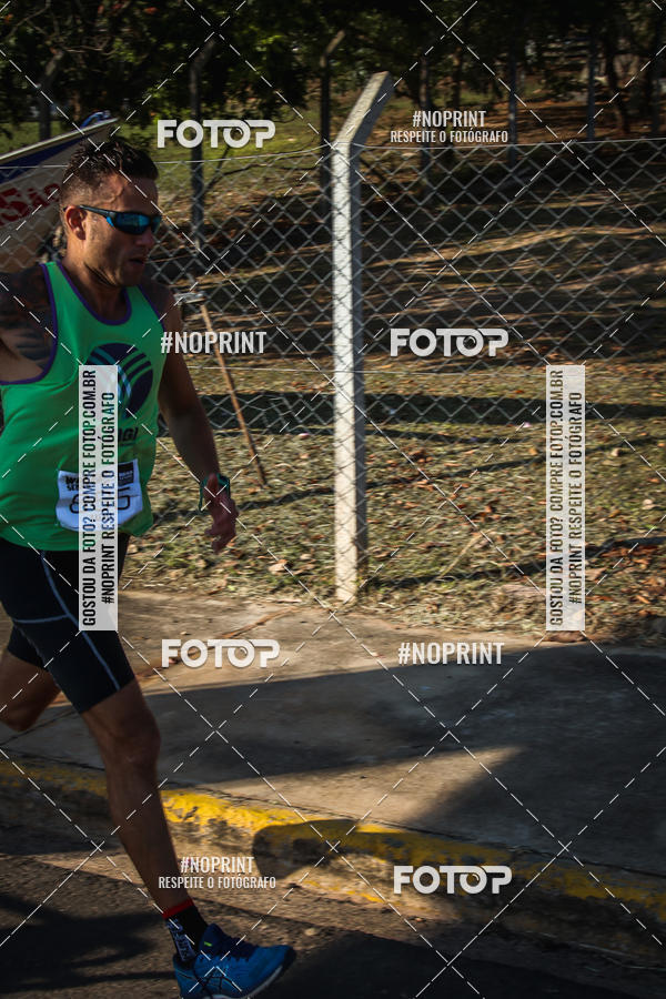 Buy your photos of the eventWolf Series - Botucatu on Fotop