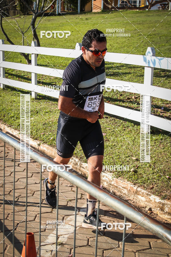 Buy your photos of the eventWolf Series - Botucatu on Fotop