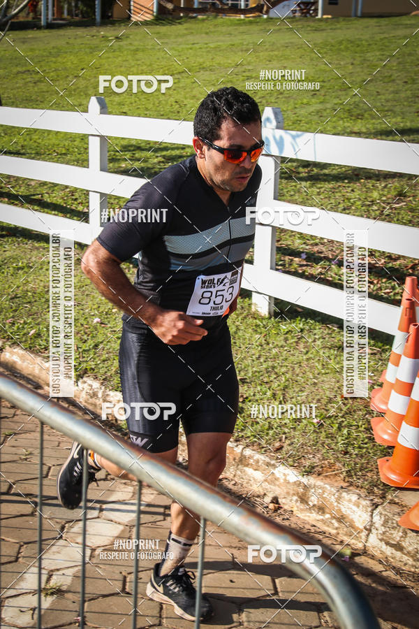 Buy your photos of the eventWolf Series - Botucatu on Fotop