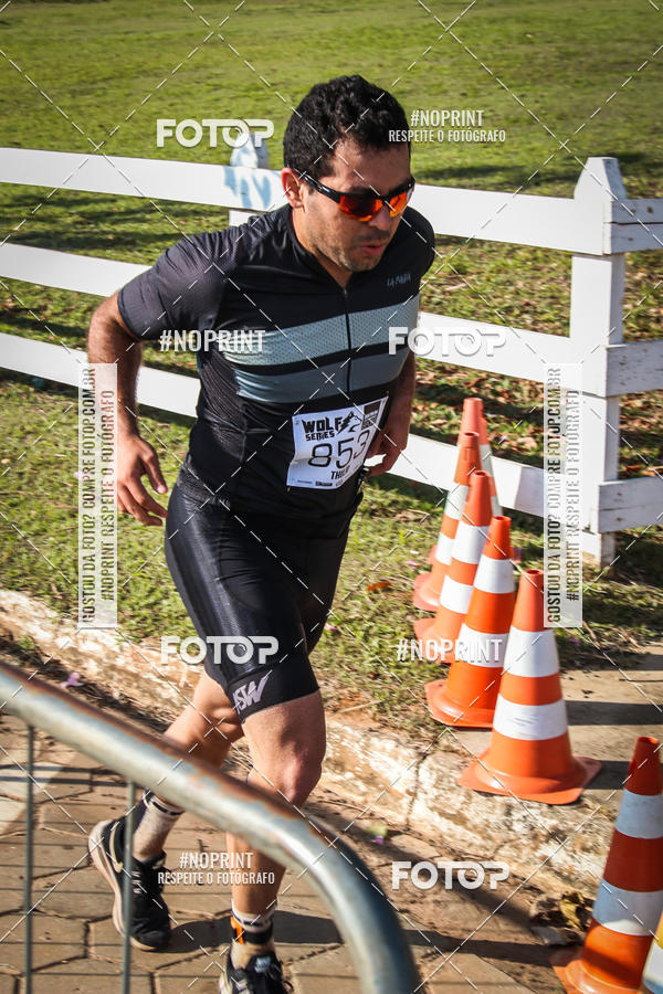 Buy your photos of the eventWolf Series - Botucatu on Fotop