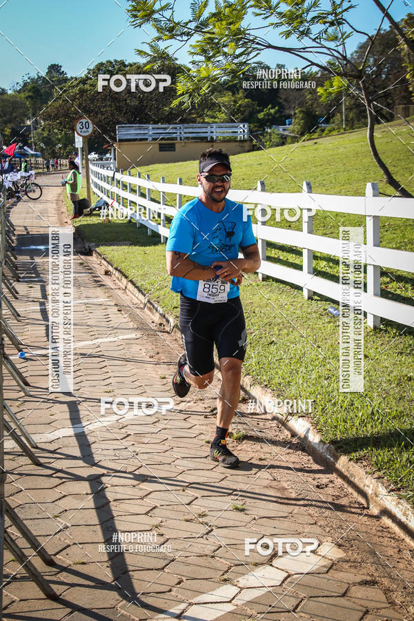 Buy your photos of the eventWolf Series - Botucatu on Fotop