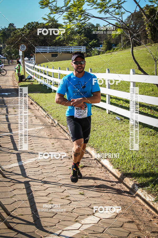 Buy your photos of the eventWolf Series - Botucatu on Fotop