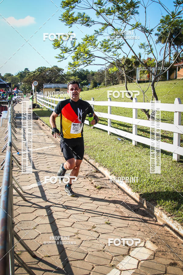 Buy your photos of the eventWolf Series - Botucatu on Fotop