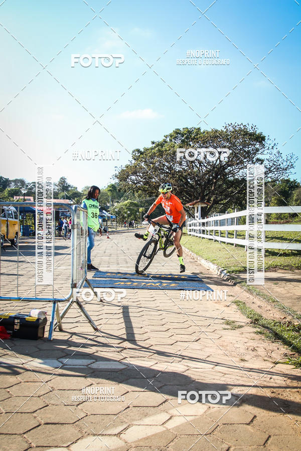 Buy your photos of the eventWolf Series - Botucatu on Fotop