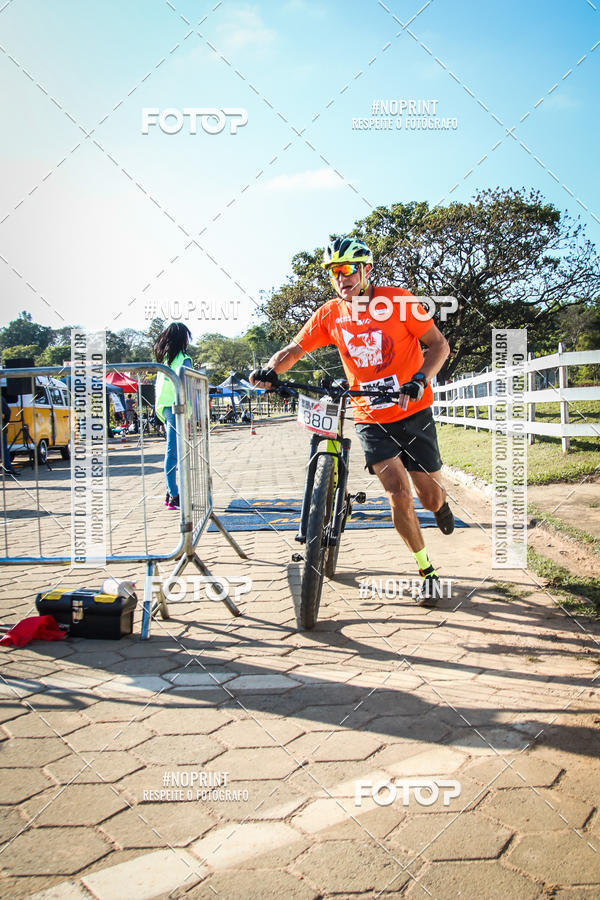 Buy your photos of the eventWolf Series - Botucatu on Fotop