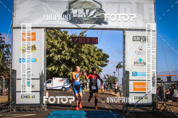 Buy your photos of the eventWolf Series - Botucatu on Fotop