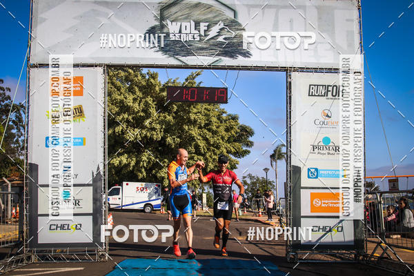 Buy your photos of the eventWolf Series - Botucatu on Fotop