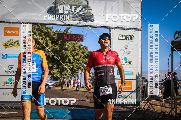 Buy your photos of the eventWolf Series - Botucatu on Fotop