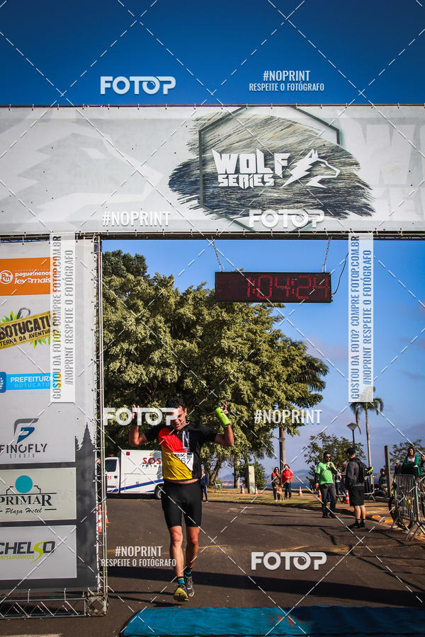 Buy your photos of the eventWolf Series - Botucatu on Fotop