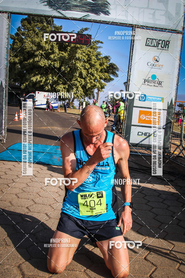 Buy your photos of the eventWolf Series - Botucatu on Fotop