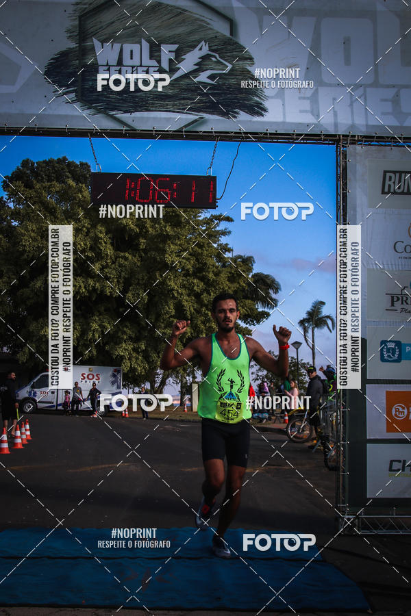 Buy your photos of the eventWolf Series - Botucatu on Fotop