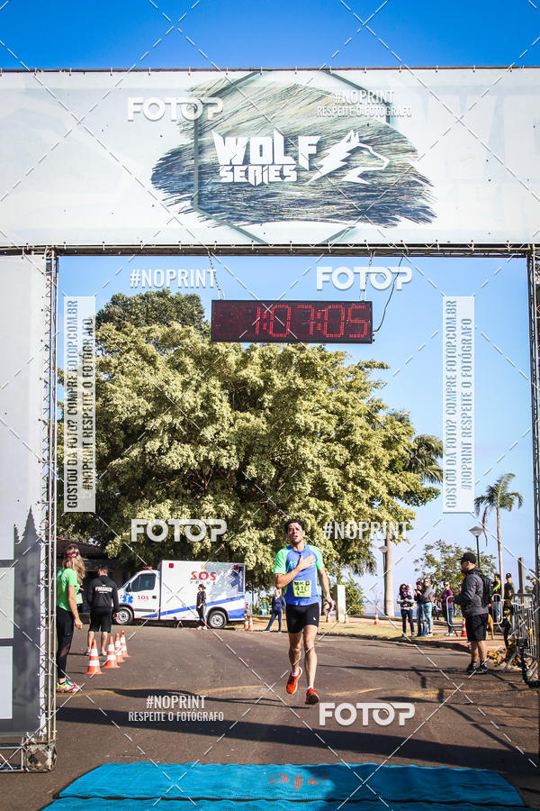 Buy your photos of the eventWolf Series - Botucatu on Fotop