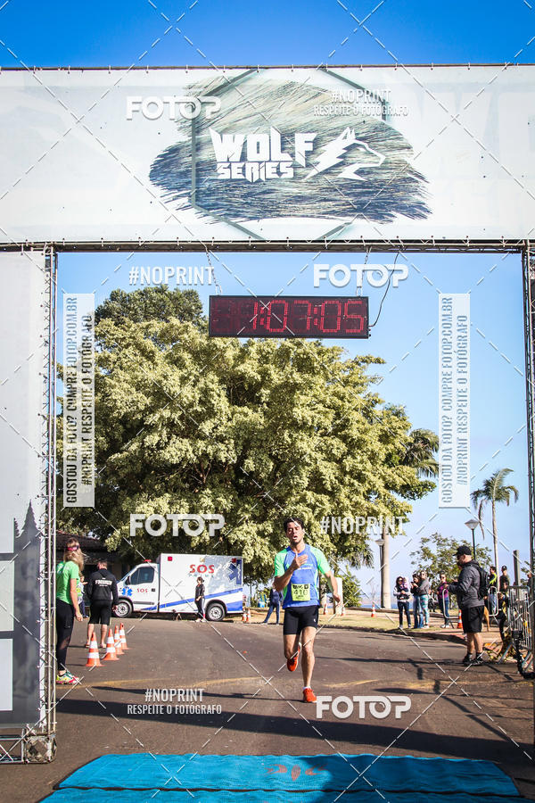 Buy your photos of the eventWolf Series - Botucatu on Fotop