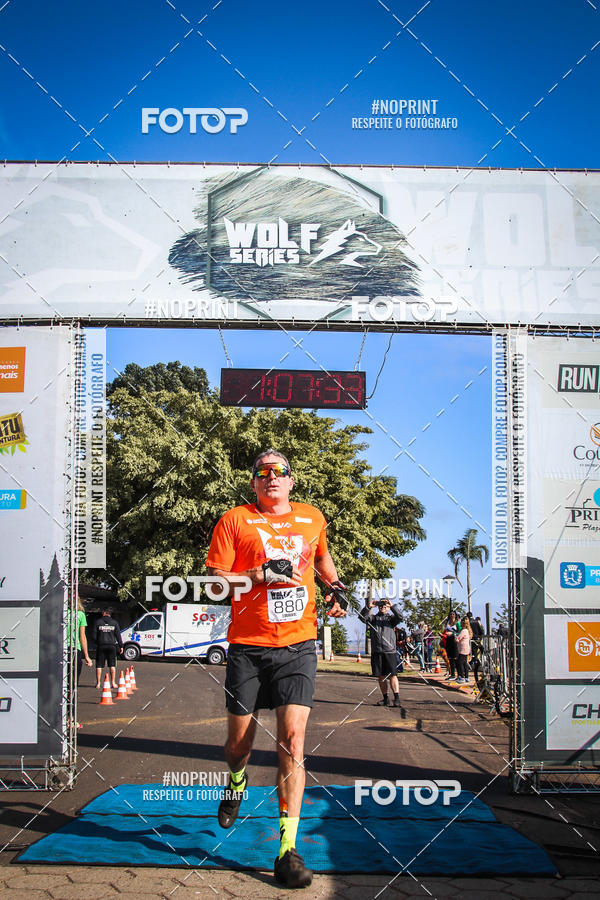 Buy your photos of the eventWolf Series - Botucatu on Fotop