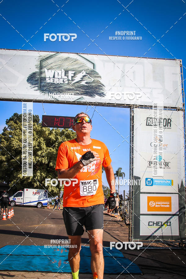 Buy your photos of the eventWolf Series - Botucatu on Fotop