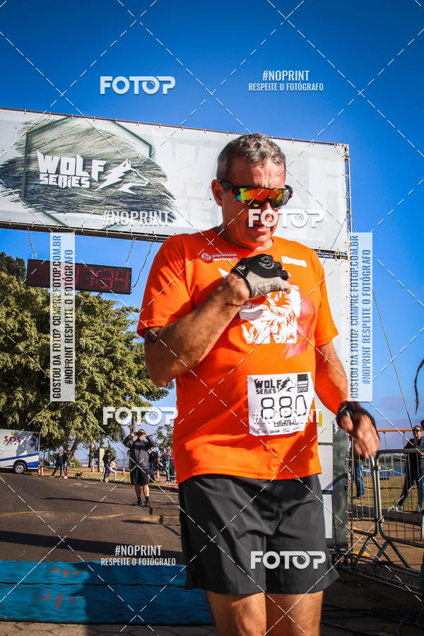 Buy your photos of the eventWolf Series - Botucatu on Fotop