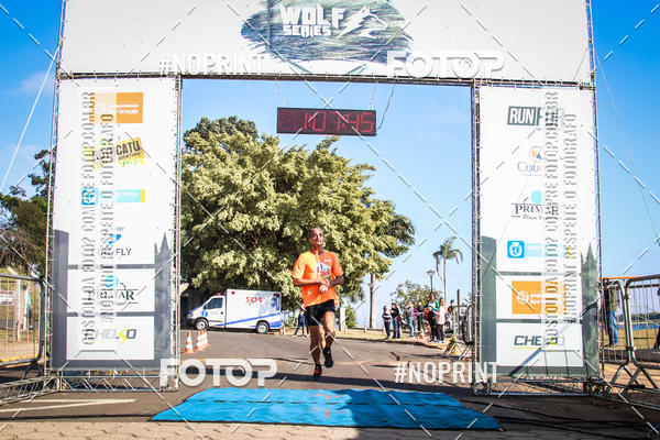 Buy your photos of the eventWolf Series - Botucatu on Fotop