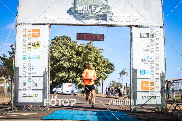 Buy your photos of the eventWolf Series - Botucatu on Fotop