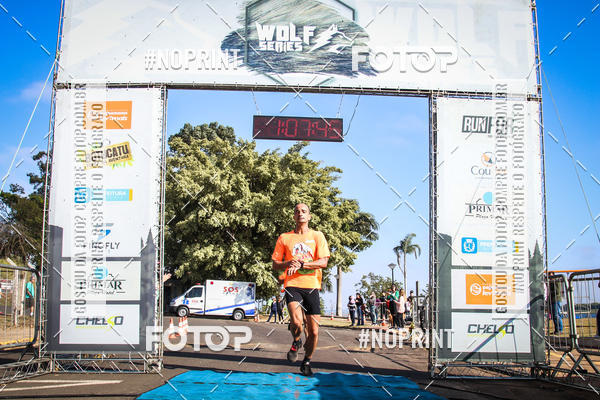 Buy your photos of the eventWolf Series - Botucatu on Fotop