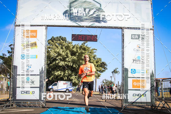 Buy your photos of the eventWolf Series - Botucatu on Fotop