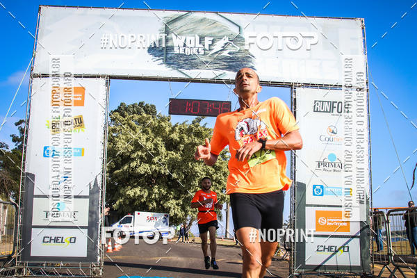 Buy your photos of the eventWolf Series - Botucatu on Fotop