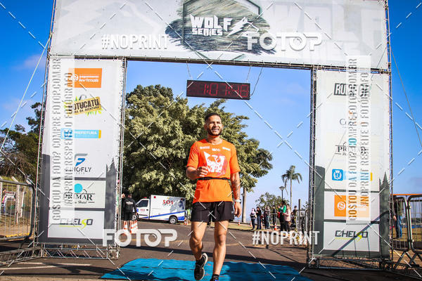 Buy your photos of the eventWolf Series - Botucatu on Fotop