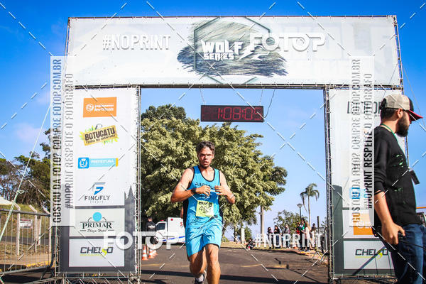 Buy your photos of the eventWolf Series - Botucatu on Fotop