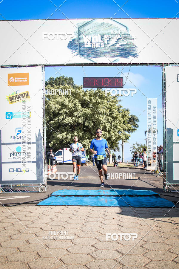 Buy your photos of the eventWolf Series - Botucatu on Fotop