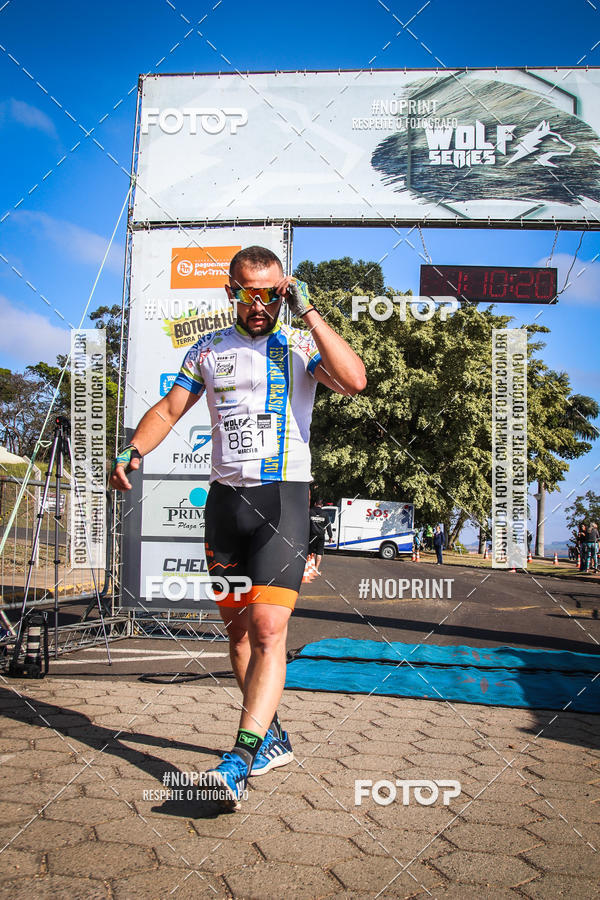 Buy your photos of the eventWolf Series - Botucatu on Fotop