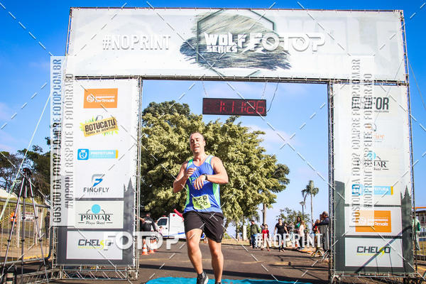 Buy your photos of the eventWolf Series - Botucatu on Fotop