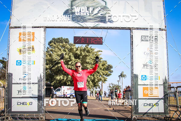 Buy your photos of the eventWolf Series - Botucatu on Fotop