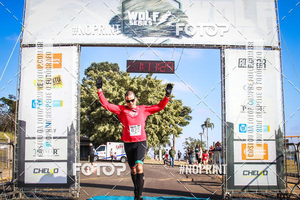 Buy your photos of the eventWolf Series - Botucatu on Fotop