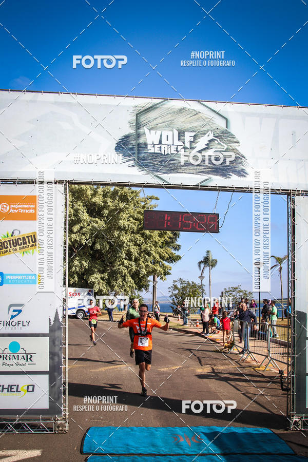 Buy your photos of the eventWolf Series - Botucatu on Fotop