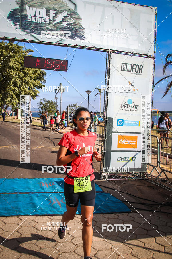 Buy your photos of the eventWolf Series - Botucatu on Fotop