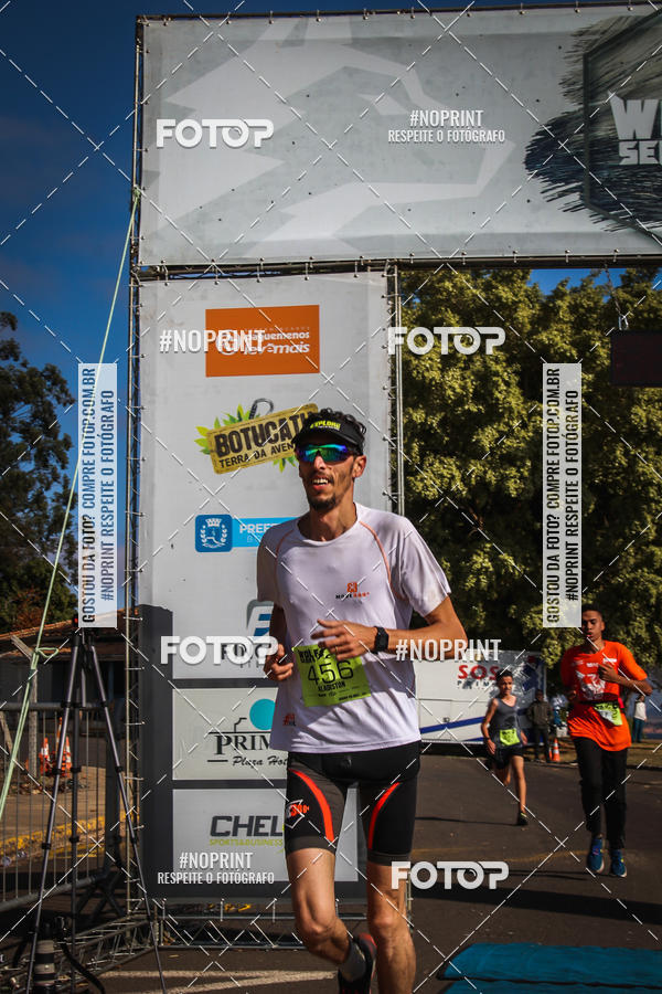 Buy your photos of the eventWolf Series - Botucatu on Fotop