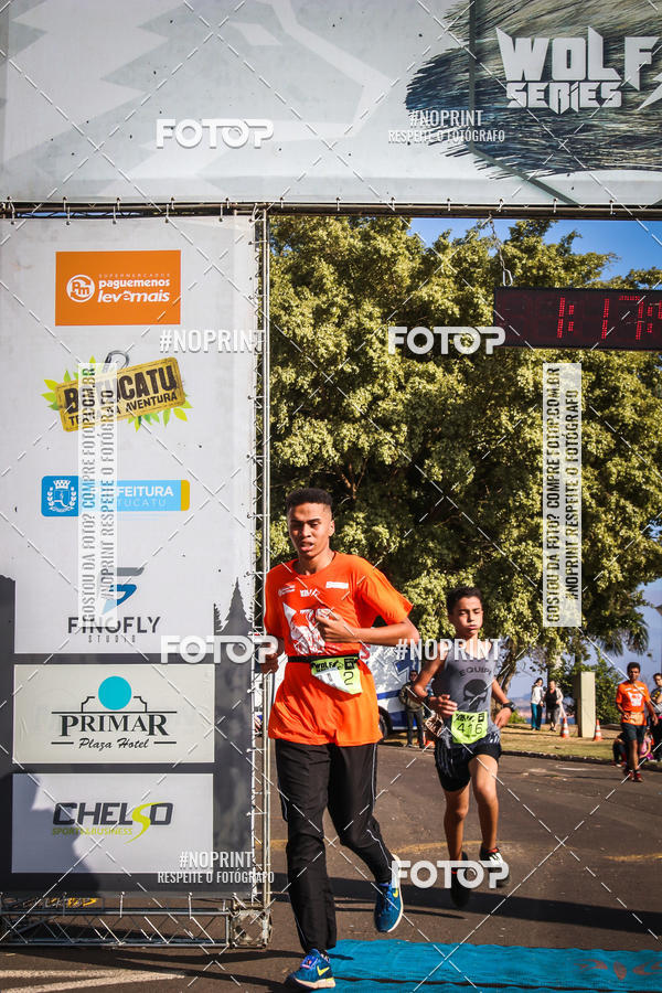 Buy your photos of the eventWolf Series - Botucatu on Fotop