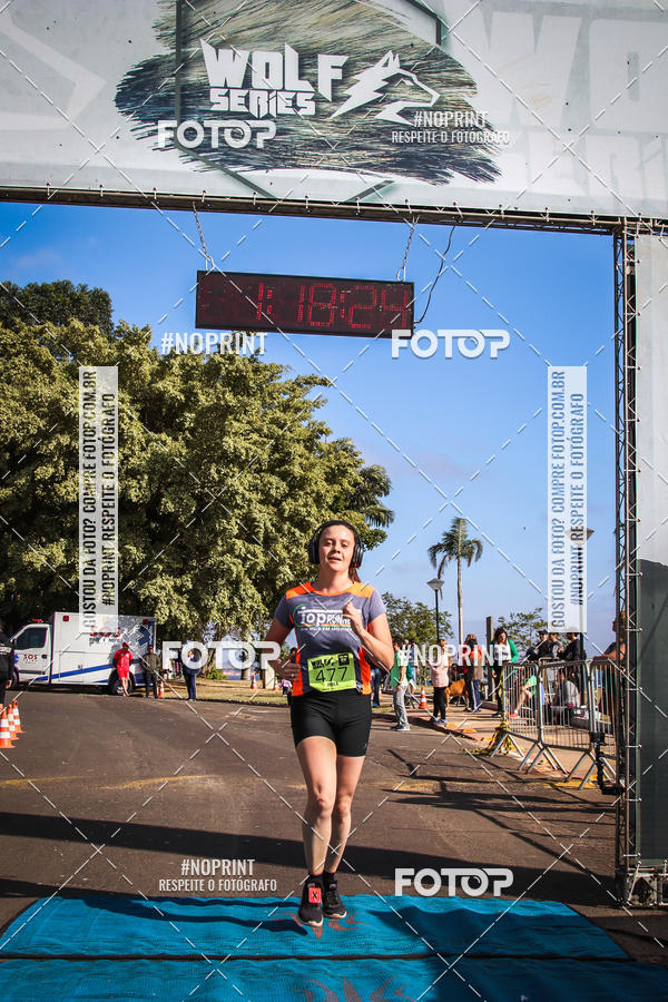 Buy your photos of the eventWolf Series - Botucatu on Fotop