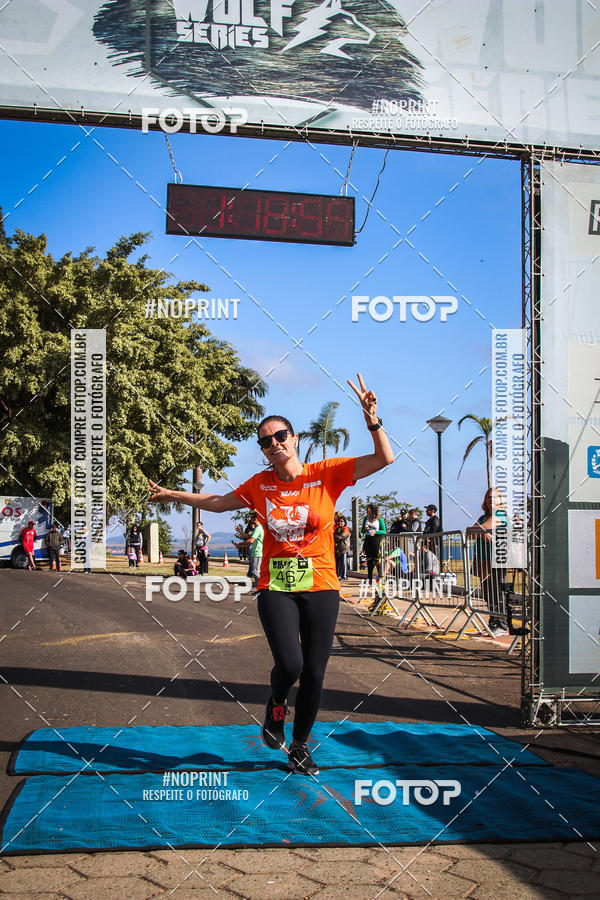 Buy your photos of the eventWolf Series - Botucatu on Fotop