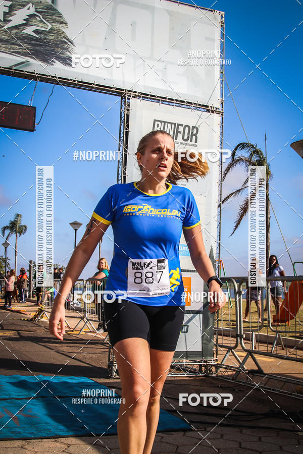 Buy your photos of the eventWolf Series - Botucatu on Fotop