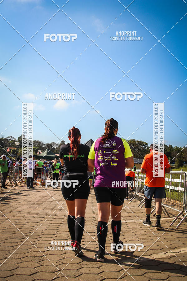 Buy your photos of the eventWolf Series - Botucatu on Fotop