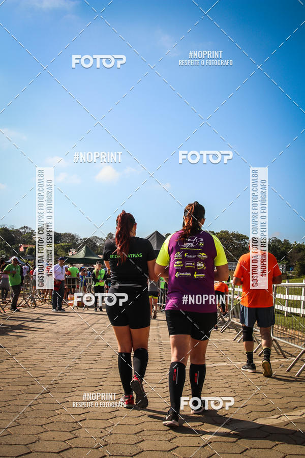 Buy your photos of the eventWolf Series - Botucatu on Fotop