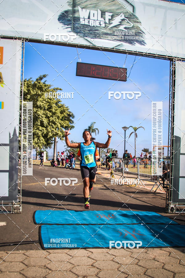 Buy your photos of the eventWolf Series - Botucatu on Fotop