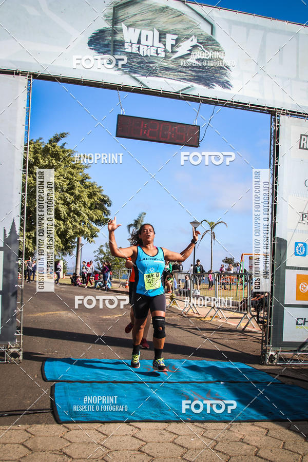 Buy your photos of the eventWolf Series - Botucatu on Fotop