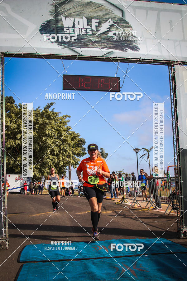 Buy your photos of the eventWolf Series - Botucatu on Fotop